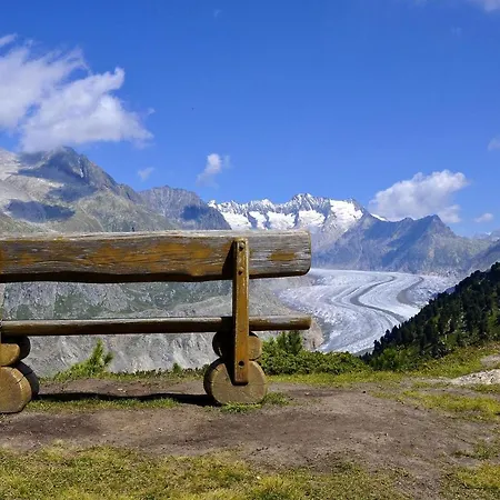 Camelot 4 Apartment Bettmeralp